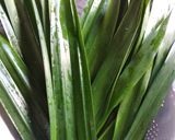 Foto langkah ke 11 dari resep Sarimuka Ketan Pandan.