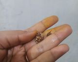Foto langkah ke 4 dari resep Mie Ayam Simpel Enak Mudah.