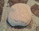 Foto del paso 9 de la receta: Pastel de carne con masa