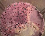 Foto del paso 3 de la receta: Sangría, pa' la se pa' la calor