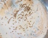 A picture of step 1 of Mathri.