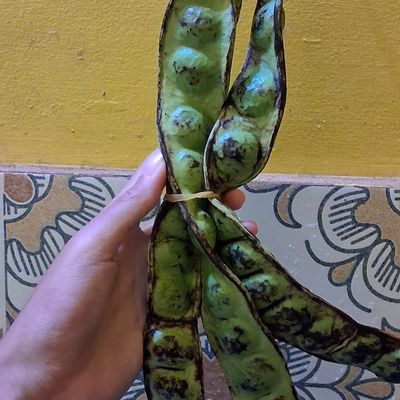 Langkah 1