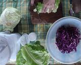 Foto del paso 1 de la receta: Como hacer chucrut?