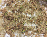 Foto del paso 2 de la receta: Baklava