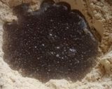 Foto del paso 3 de la receta: Hamburguesas de soja 6 ingredientes (veganas)