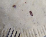 A picture of step 4 of Jain Stuffed bread sticks.