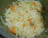 涼拌木瓜絲的食譜步驟3照片