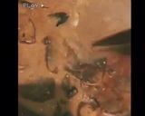 Foto langkah ke 4 dari resep Rendang daging sapi.