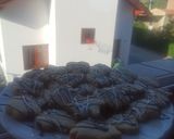Foto del paso 9 de la receta: Galletas de jengibre