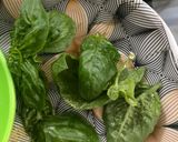 A picture of step 1 of Green chutney.