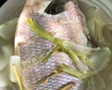 Hình bước làm 3 của món Cá Diêu Hồng hấp không ướp gia vị