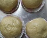 Foto langkah ke 5 dari resep Bakpao Lembut.