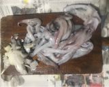 Foto del passaggio 1 della ricetta Calamari ripieni