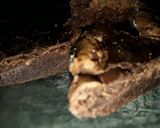 Foto del paso 3 de la receta: Brownies de chocolate facilísimos