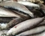 Une image de l'étape 1 de 🐬Sardines 🐟farcies marinade 🪹maison 🏠.