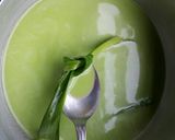 Foto langkah ke 1 dari resep Kue lumpang aka kue ijo.