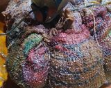 Foto del paso 9 de la receta: Centro de cuadril relleno al trapo, en brasas y puré mixto crema
