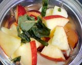 પ્લમ નુ જ્યુસ (Plum Juice Recipe In Gujarati) રેસીપી સ્ટેપ1ફોટો