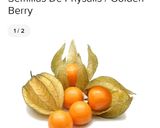 Foto del paso 2 de la receta: Jugo refrescante