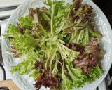 Foto del paso 3 de la receta: Ensalada de lechuga y jícama con mango y granada