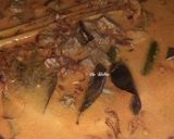 Foto langkah ke 4 dari resep Ketupat Kari Daging Sapi (Kari Instan).