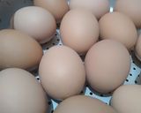 Foto langkah ke 1 dari resep Telur Pindang.