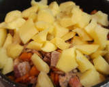 Foto del paso 6 de la receta: Estofado de solomillo de cerdo con patatas y calabaza