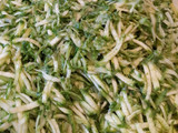 Lasagne zucchine e carote