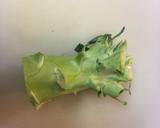 Broccoli stalk and Carrot Fry recipe step 1 photo