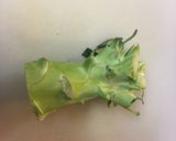 A picture of step 1 of Broccoli stalk and Carrot Fry.