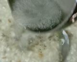 सिंधी दही की कढ़ी खिचड़ी (sindhi Dahi ki kadhi khichdi recipe in Hindi) रेसिपी चरण 3 फोटो