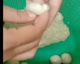 Foto langkah ke 4 dari resep Bakso Seitan / Bakso Vegetarian / Bakso Gluten.