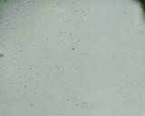 Cheese Dosa with coconut chutney and sambar recipe step 2 photo