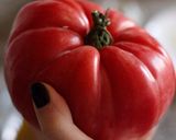 Foto del paso 1 de la receta: Ensalada alicantina de tomate y salazones