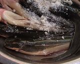 Foto langkah ke 1 dari resep Ikan Lele Goreng.
