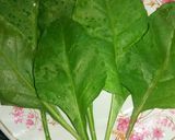 A picture of step 1 of Spinach Cheese Sandwich.