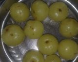 આમળા ની ગોળી (Amla Goli Recipe In Gujarati) રેસીપી સ્ટેપ1ફોટો