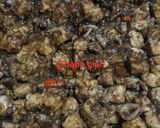 Foto langkah ke 4 dari resep Tumis Tempe Cumi.