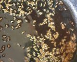 A picture of step 2 of Soya vadi sabji.