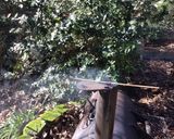 A picture of step 4 of 650. California Farm Tea Smoked Bacon.