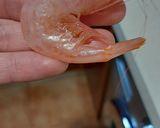 Foto del paso 1 de la receta: Quisquillas de Motril