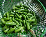 Foto langkah ke 1 dari resep Nasi tim tempe buncis alakadarnya.