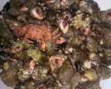 Foto del paso 3 de la receta: Caracoles de mar cocidos