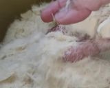 صورة لخطوة 1 من وصفة كنافه بالمانجو على طريقتي