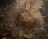 A picture of step 5 of Special Mutton Pulao.