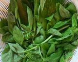 Foto del paso 2 de la receta: Mi pesto clásico