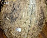 Foto del paso 2 de la receta: Leche de coco