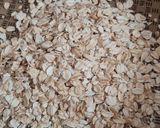 Foto del paso 1 de la receta: Cuadrados de espinaca y ricota, low carb, altos en proteína, sin harina, opción de vianda saludable