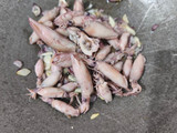 Oseng Tempe, Kacang Panjang Dan Cumi Asin