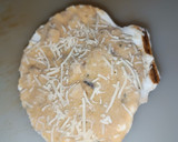 Foto del paso 2 de la receta: Vieiras con pipirrana